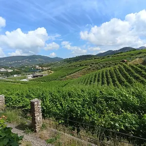 https://al-vigneto.hotelitalianriviera.com
